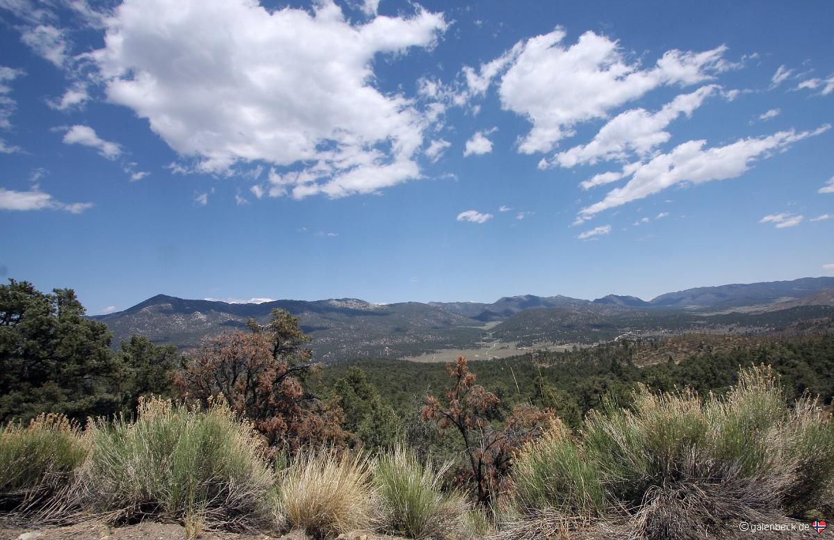 Kennedy Meadows