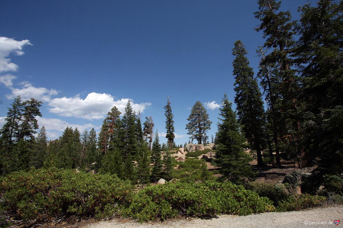 Sherman Pass