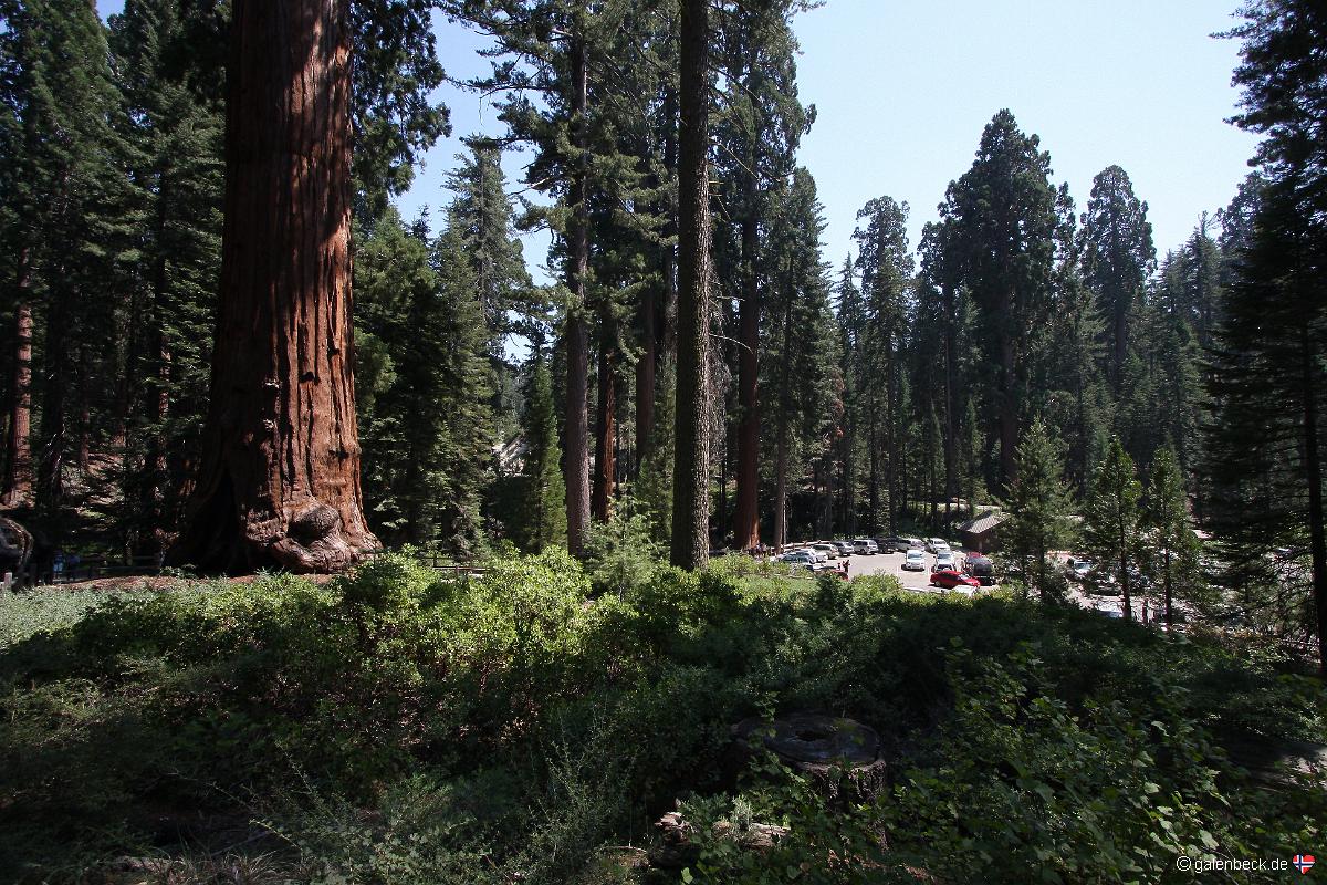 Kings Canyon National Park
