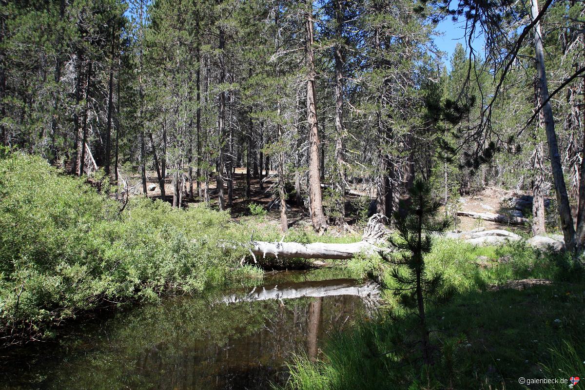 Bridalveil Creek