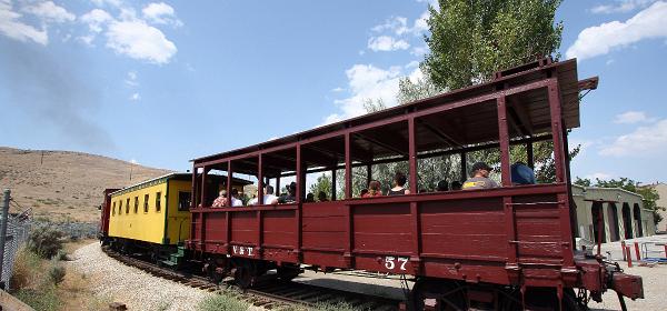 29