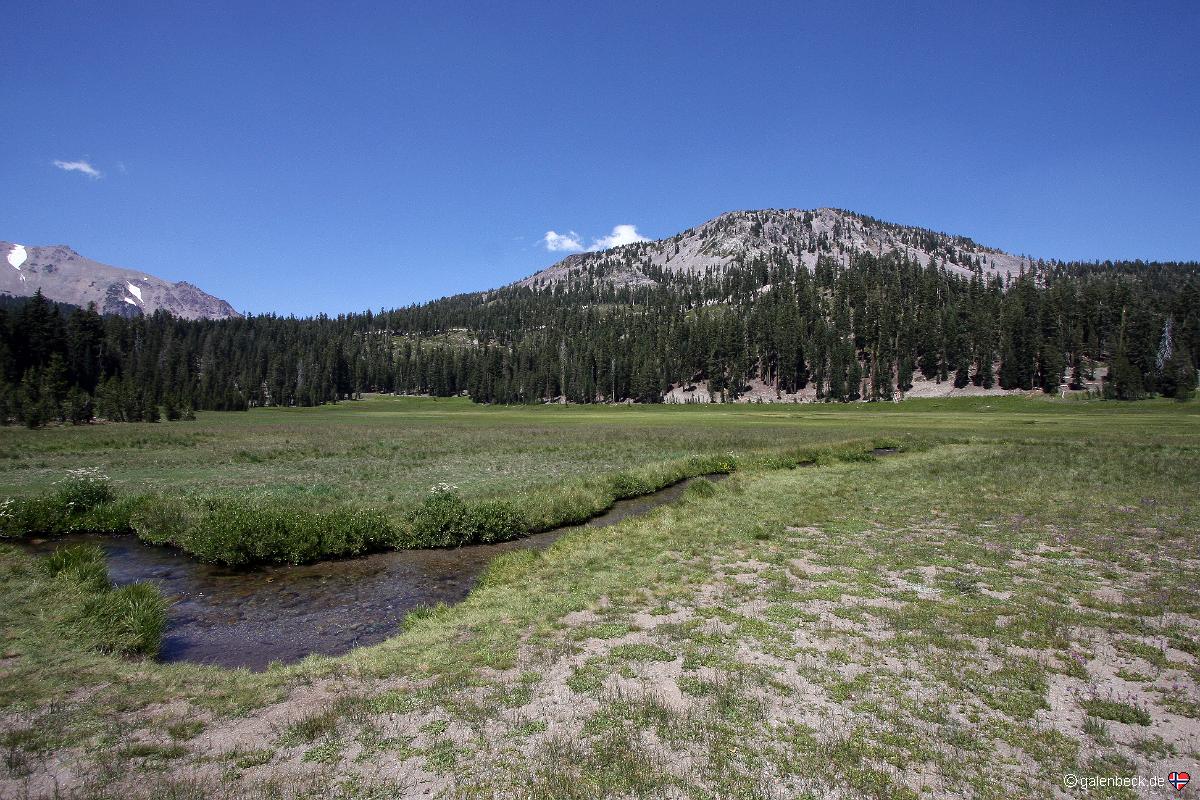 Kings Creek Meadow