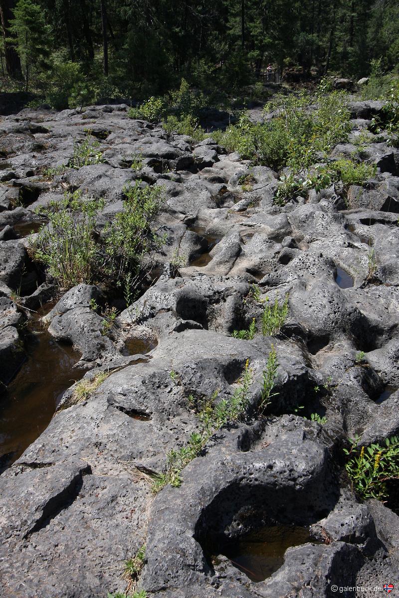 Rogue River Gorge