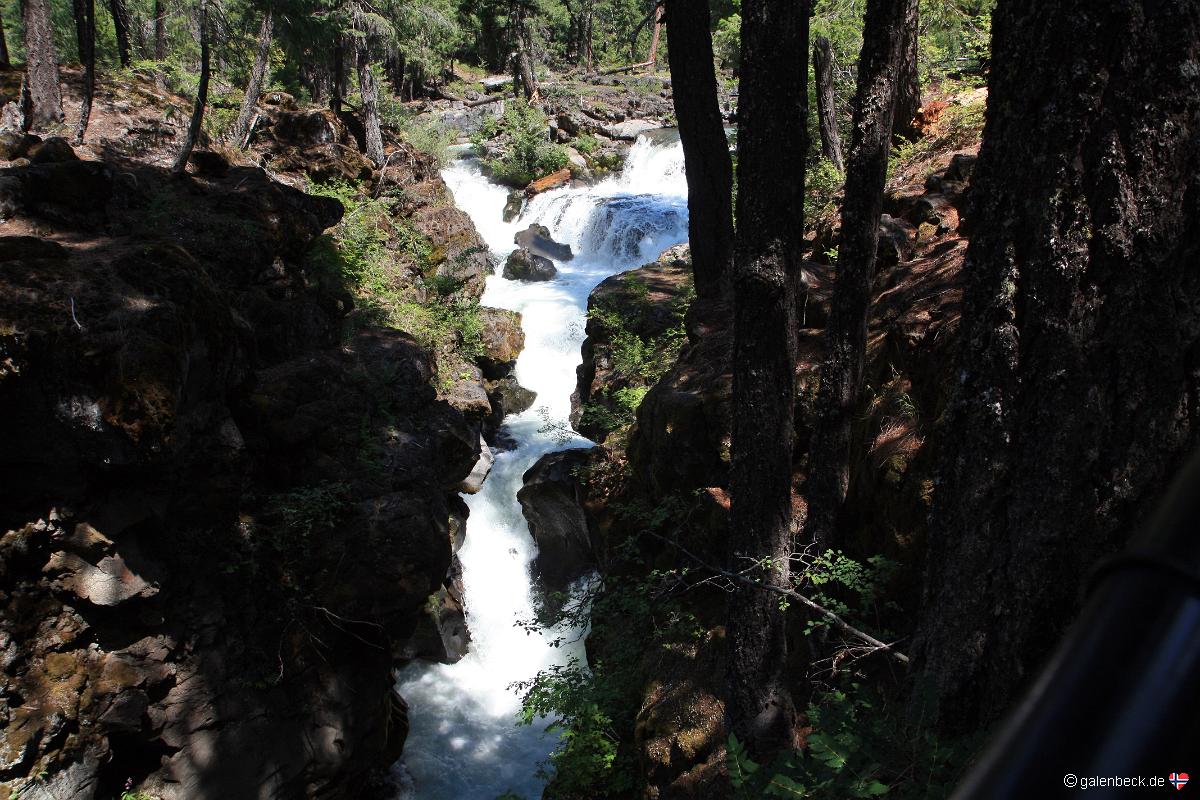 Rogue River Gorge