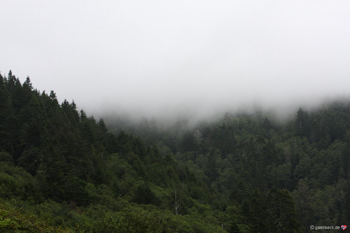 Del Norte Coast Redwood State Park