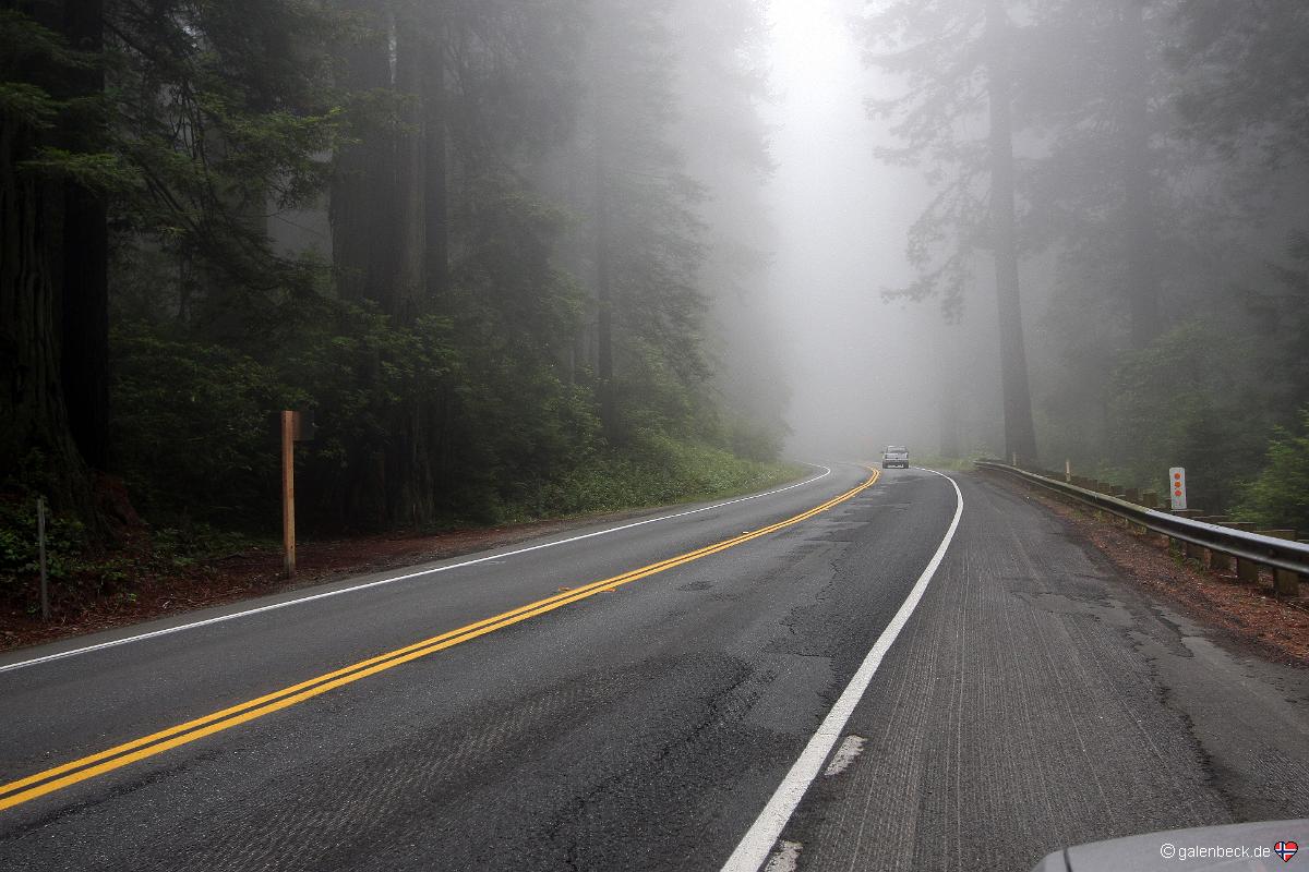 Del Norte Coast Redwood State Park