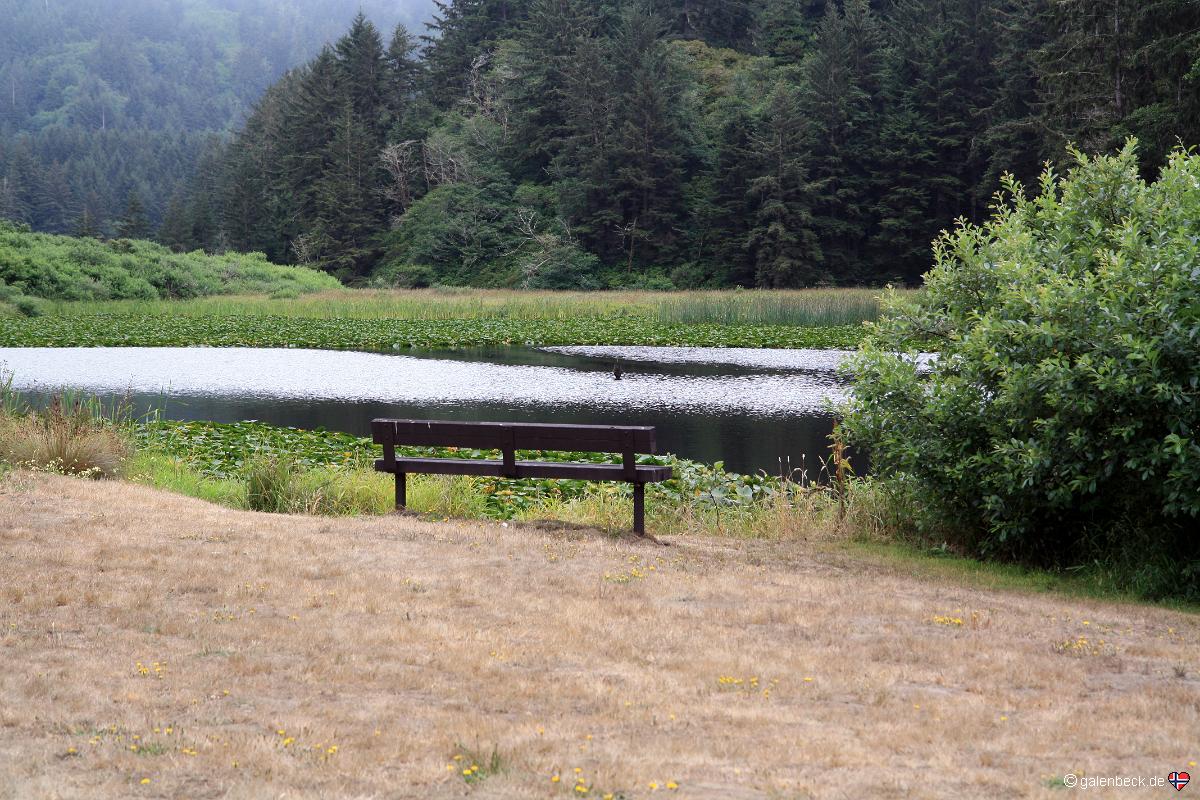 Lagoon Pond