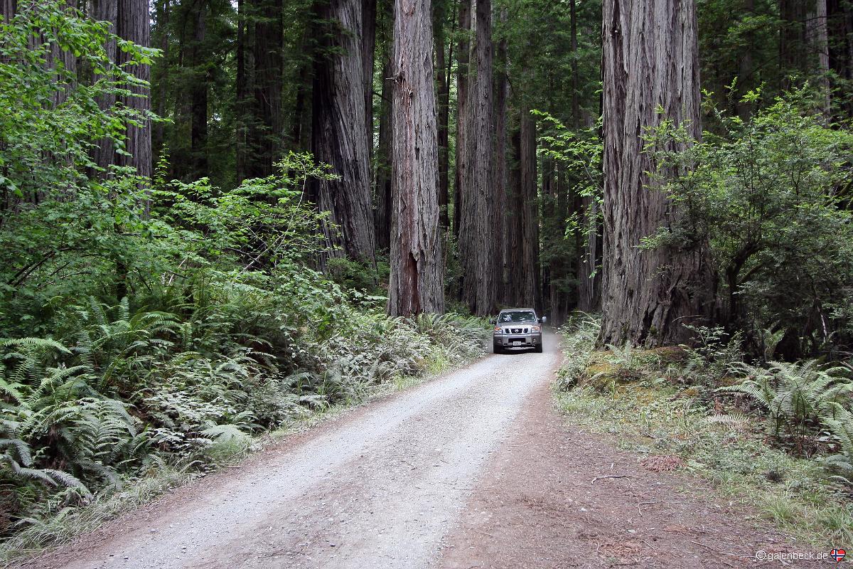 Car-Barrel Scenic Road