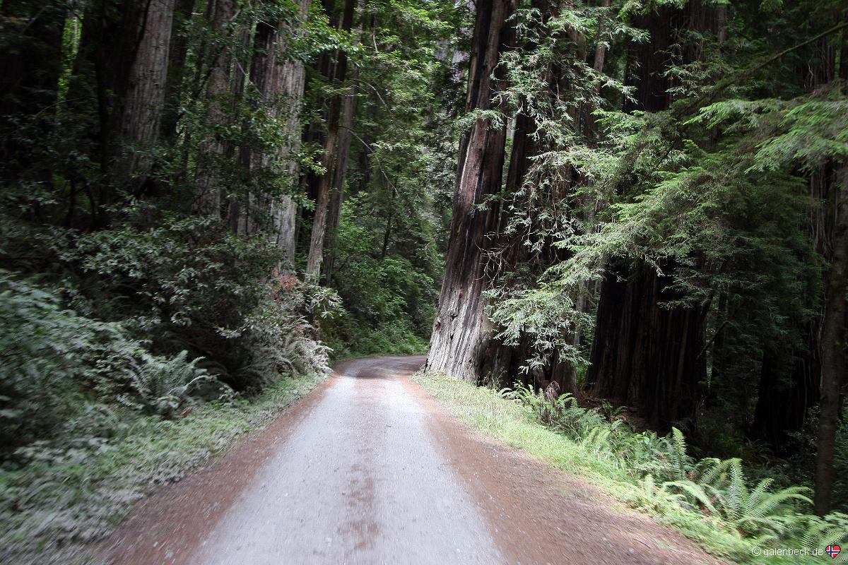 Car-Barrel Scenic Road