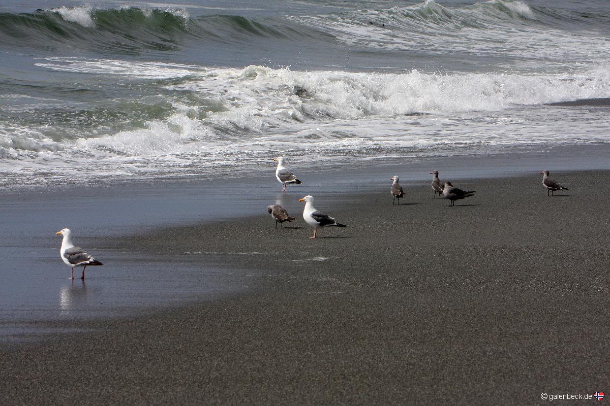 Humboldt Lagoons State Park