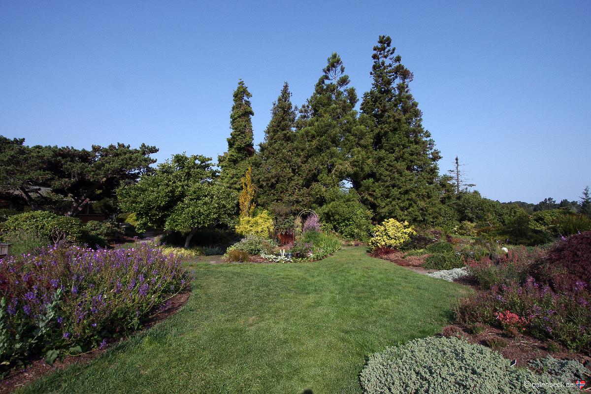 Mendocino Coast Botanical Gardens