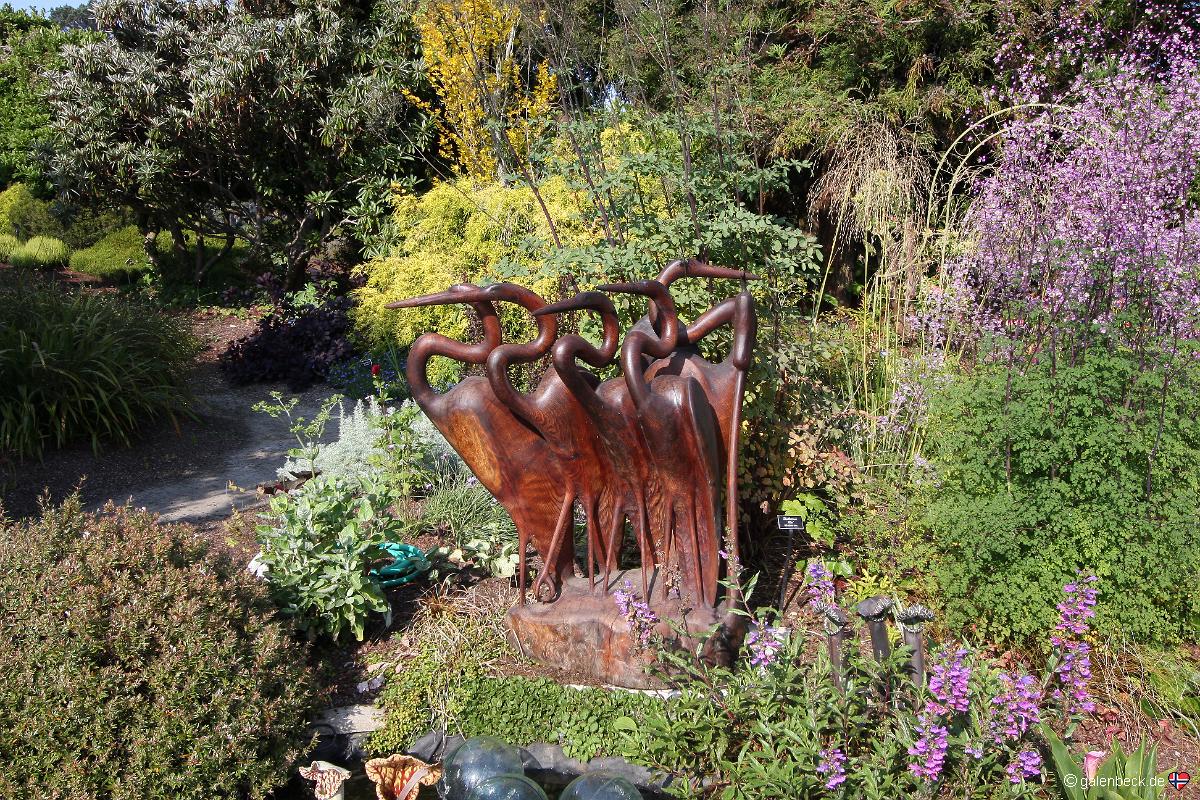 Mendocino Coast Botanical Gardens