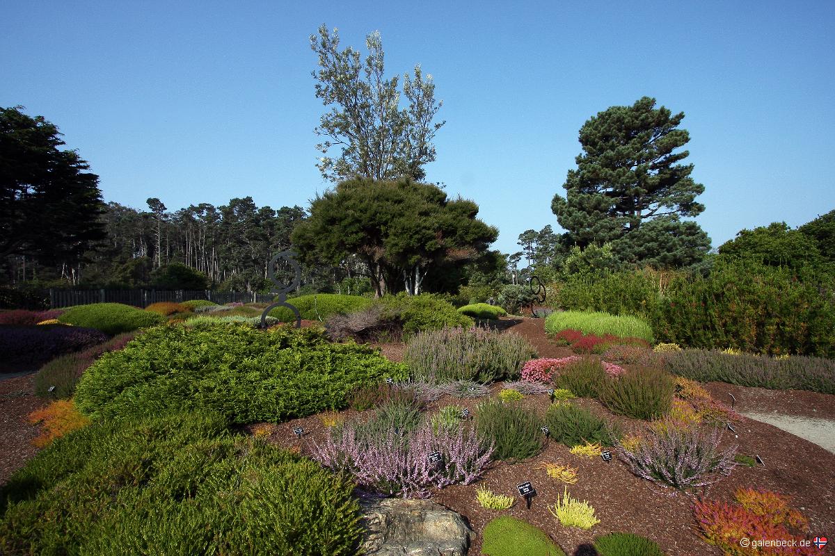 Mendocino Coast Botanical Gardens