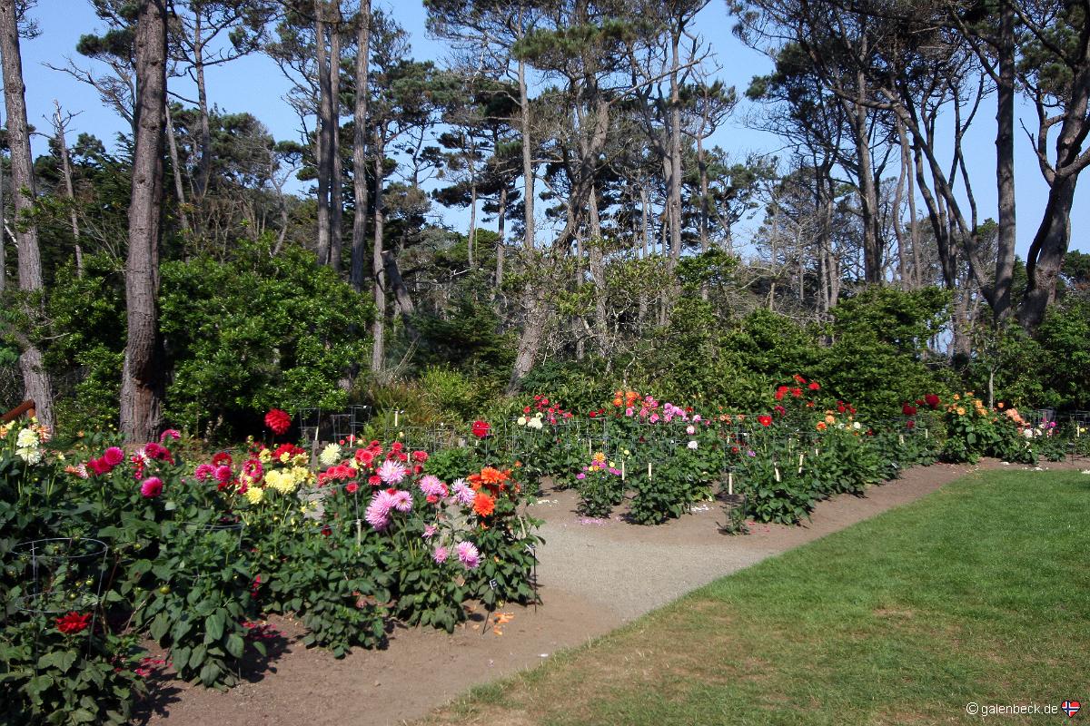 Mendocino Coast Botanical Gardens