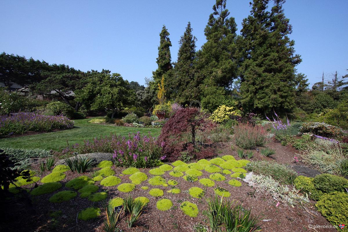 Mendocino Coast Botanical Gardens