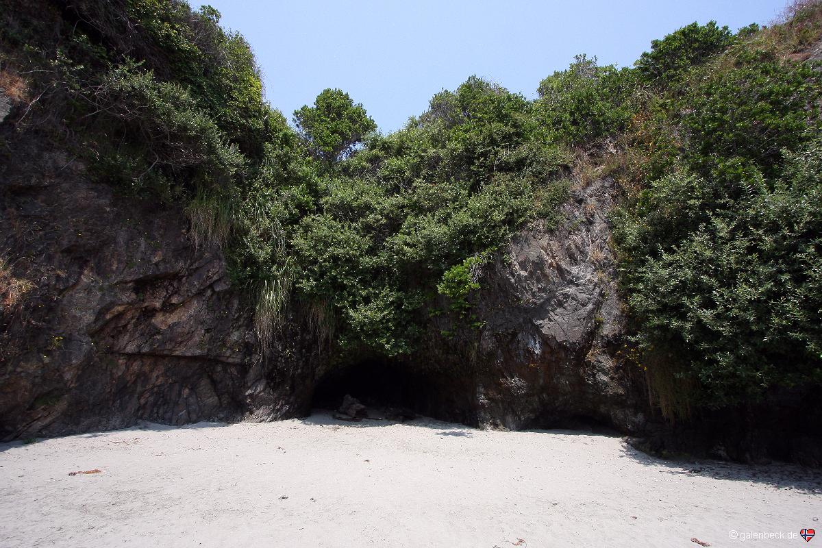 Mendocino Headlands State Park