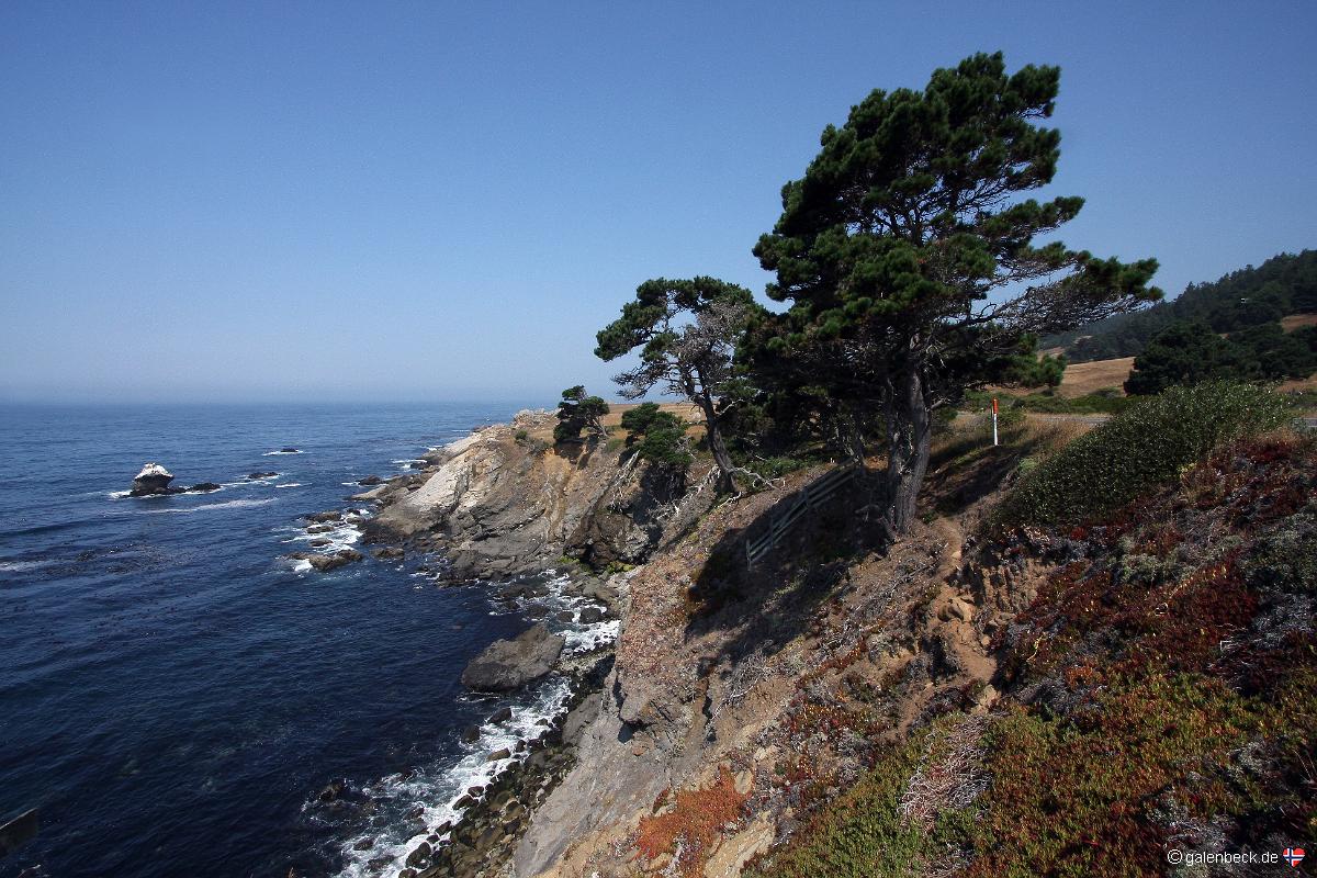 Highway 1 Point Arena Jenner