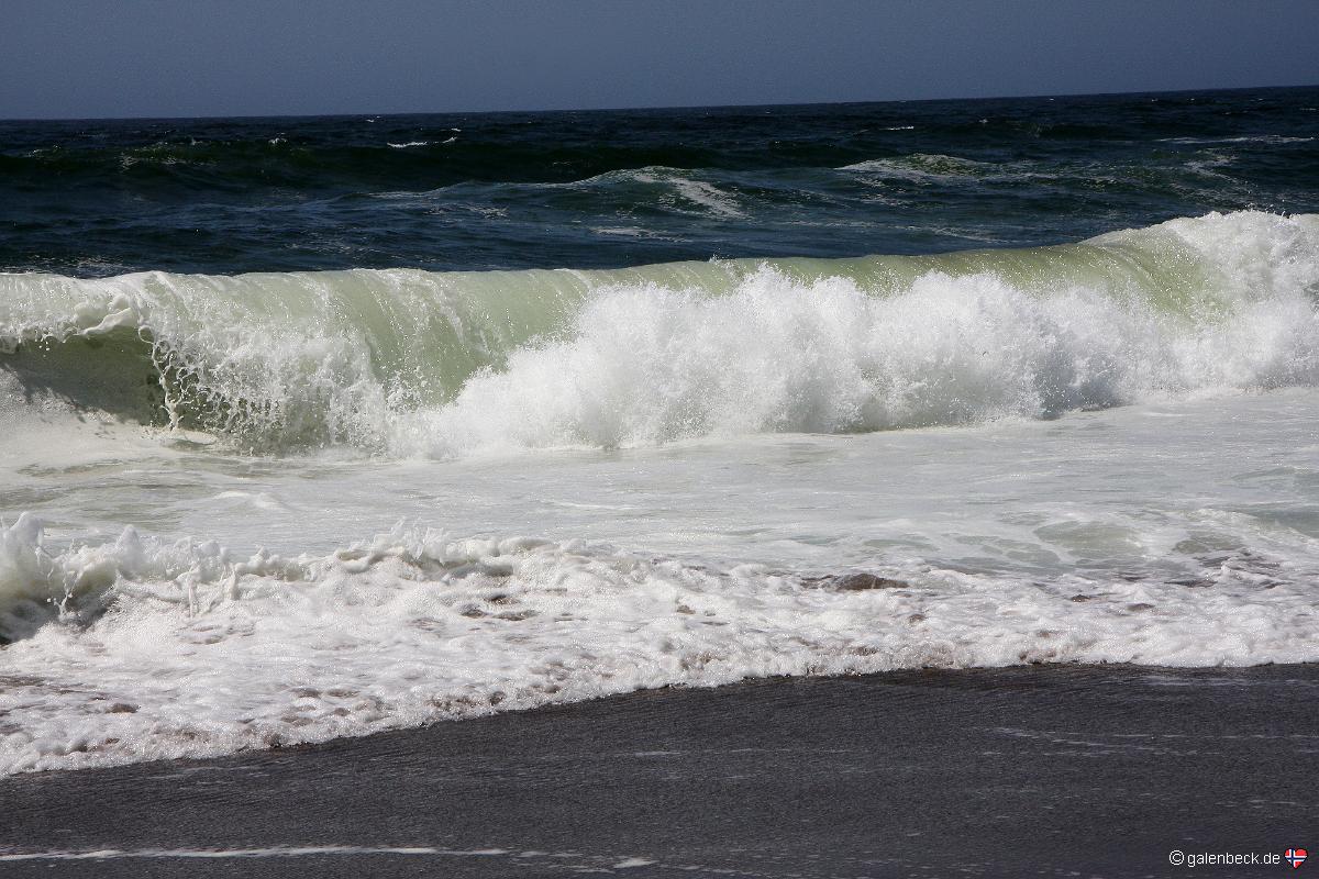 Point Reyes Beach