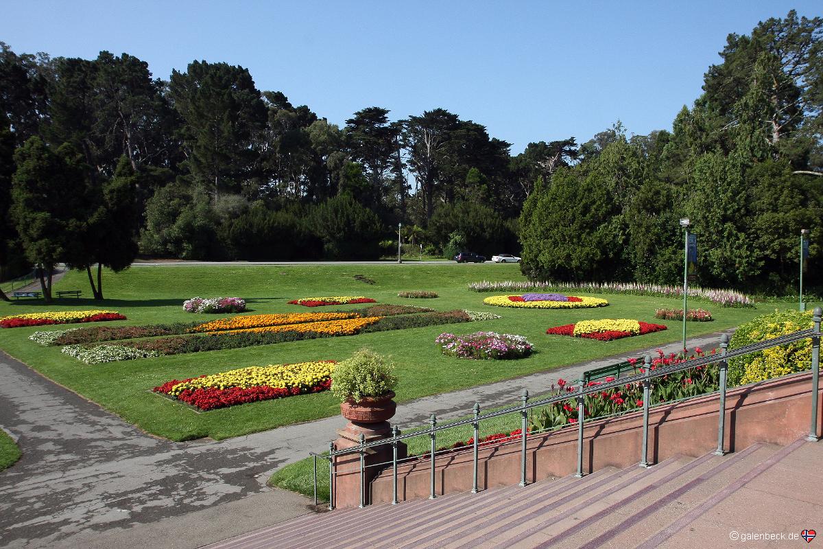 Golden Gate Park