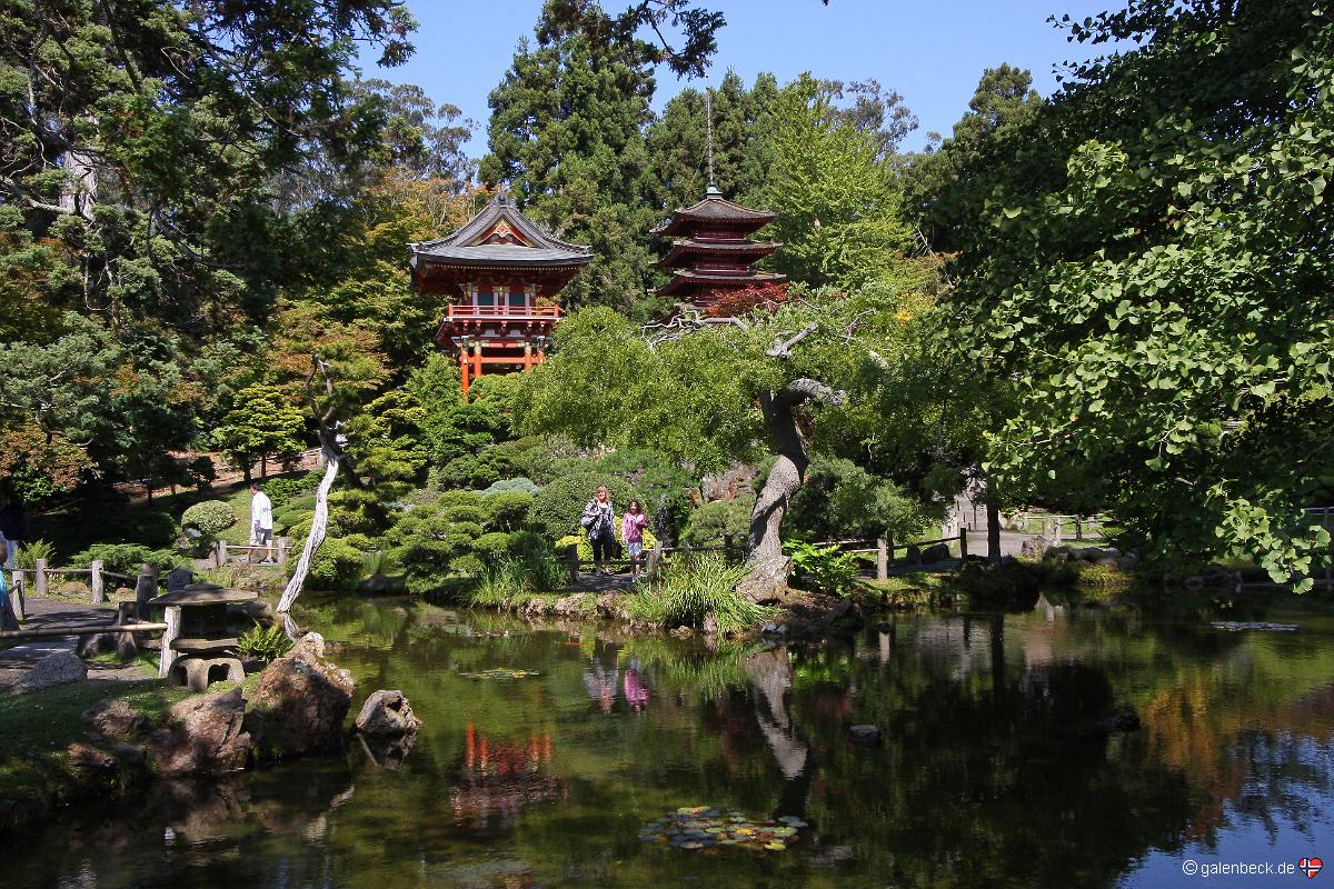 Japanese Tea Garden