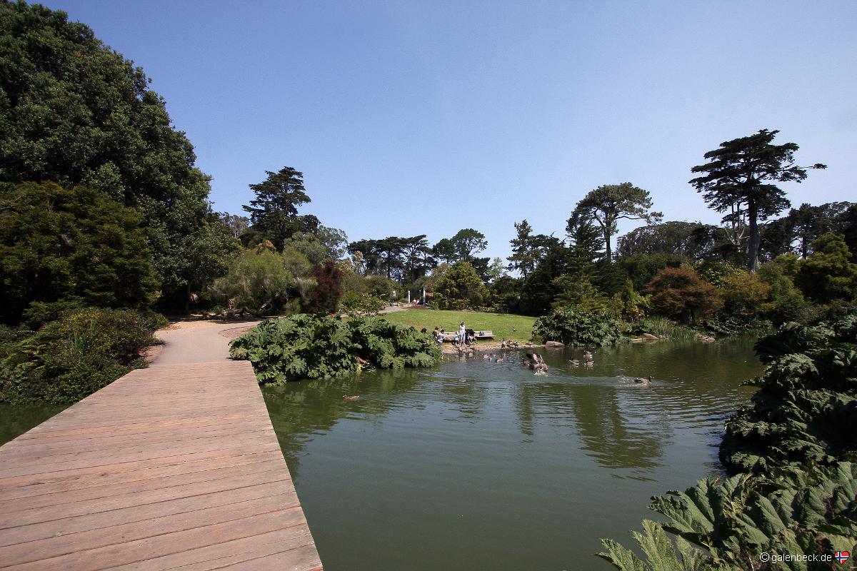 San Francisco Botanical Garden