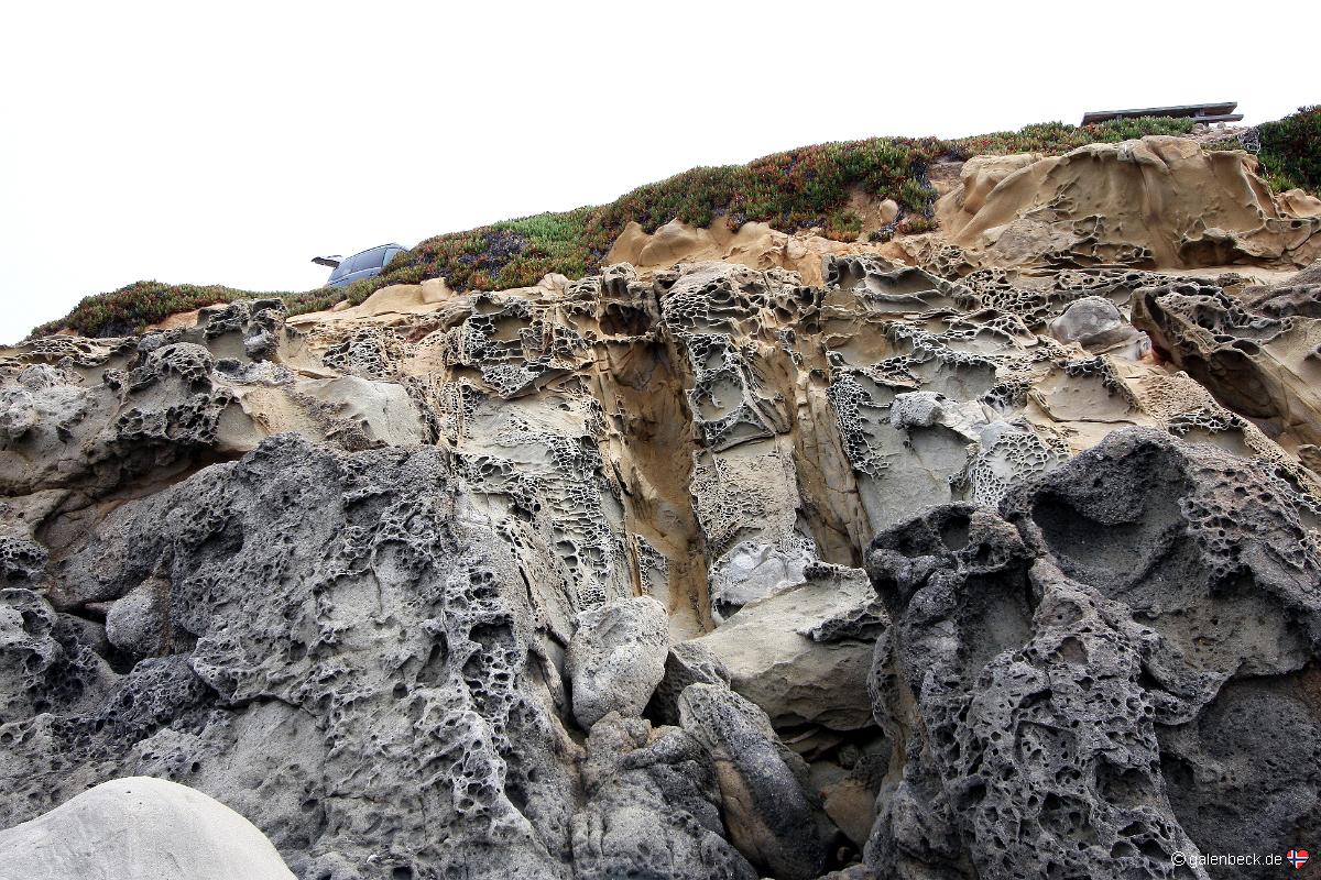 Tafoni
