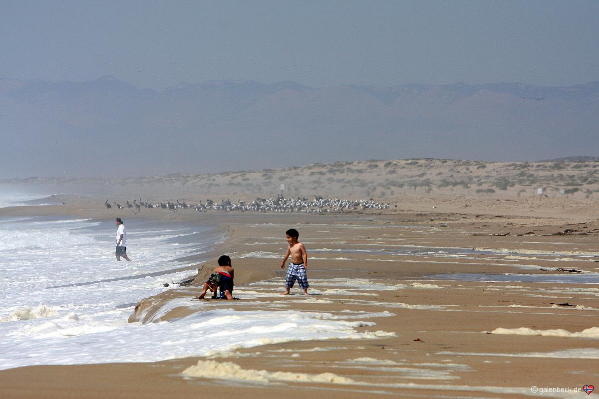Guadalupe Nipomo Dunes