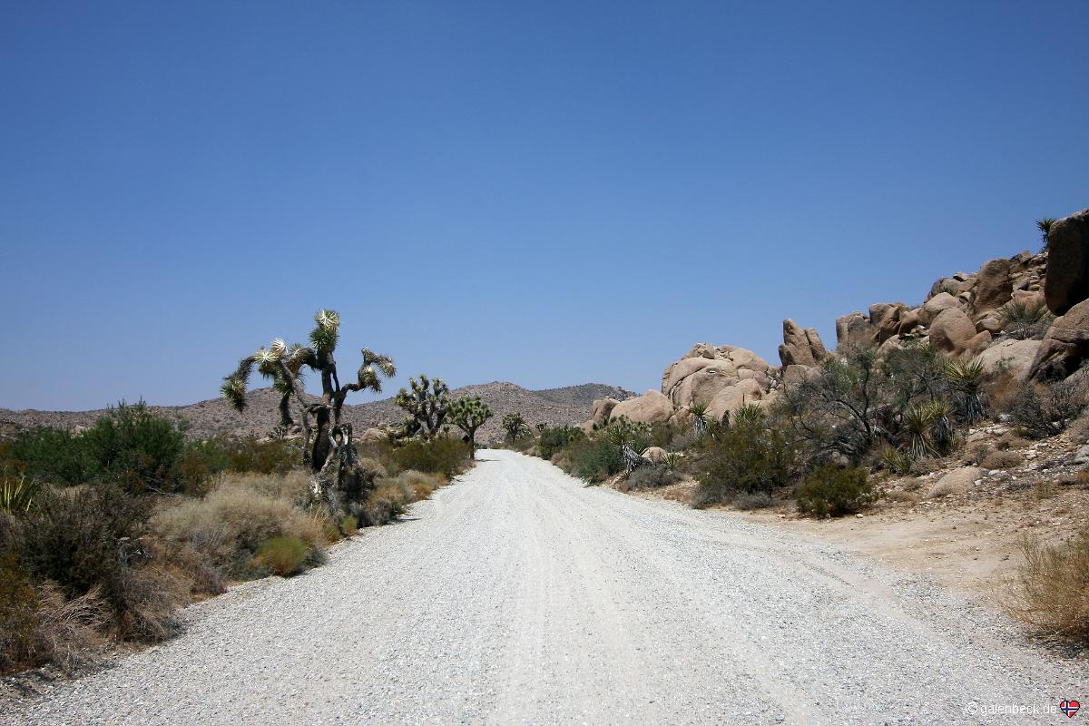 Joshua Tree National Park
