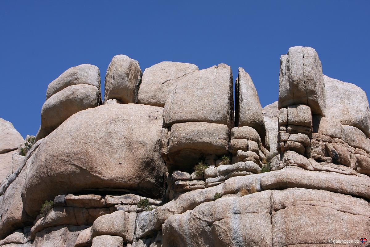 Joshua Tree National Park
