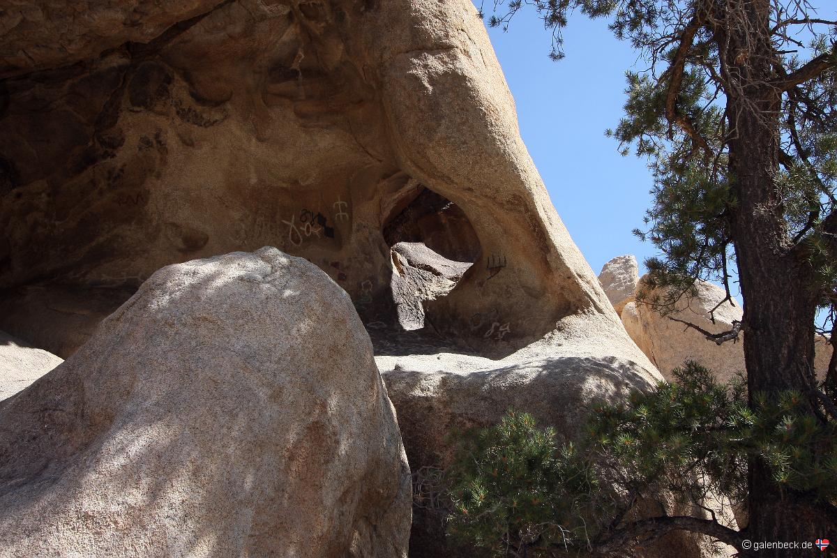 Petroglyph Arch