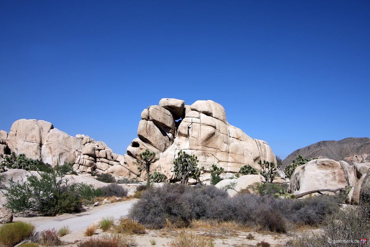 Joshua Tree National Park