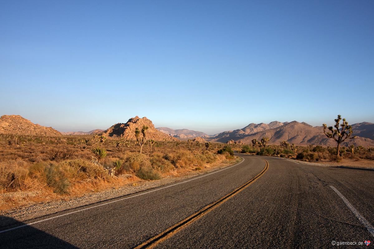Joshua Tree