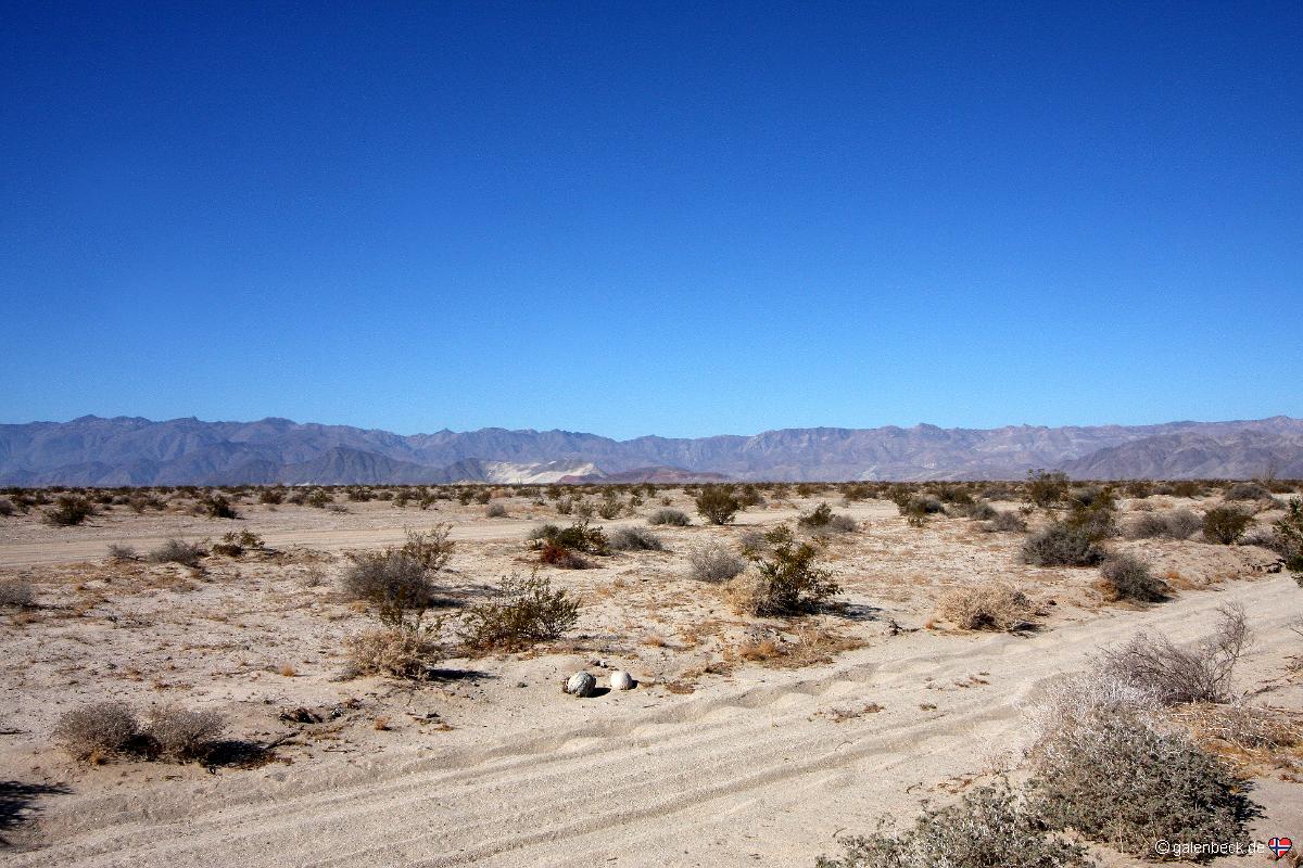Anza Borrego Desert State Park