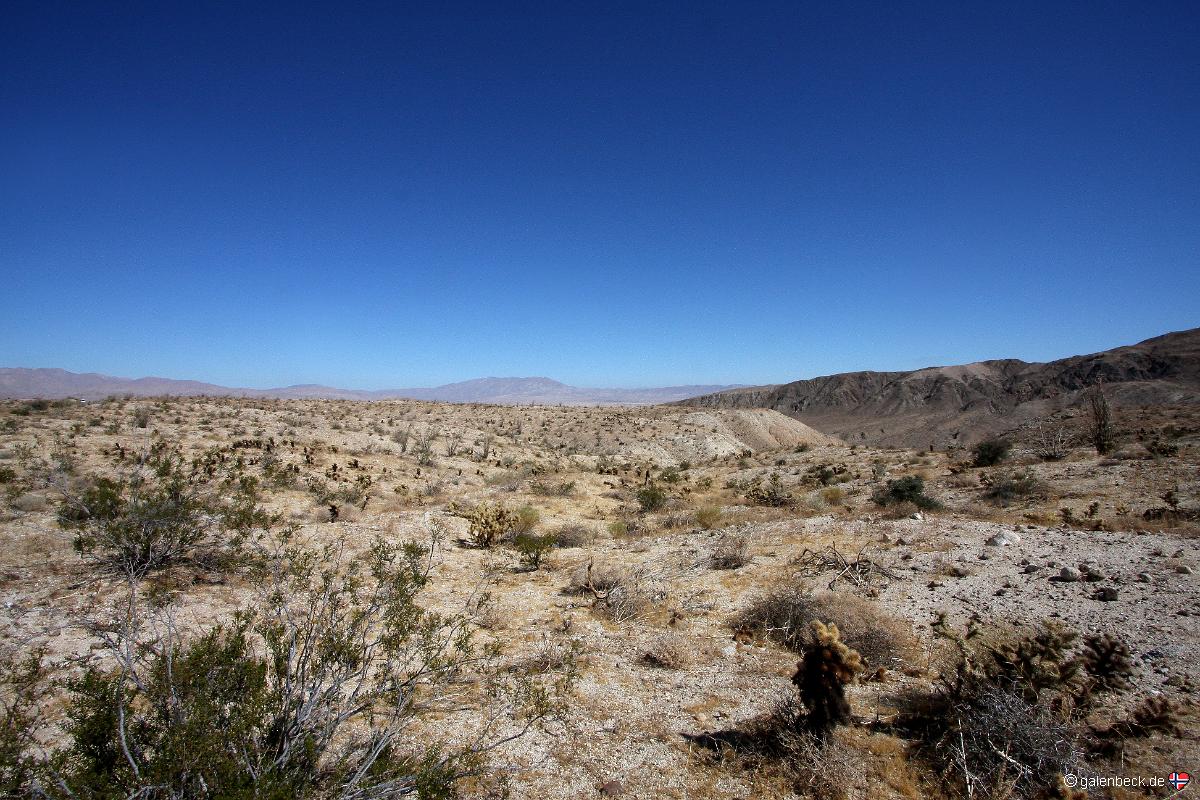 Anza Borrego Desert State Park