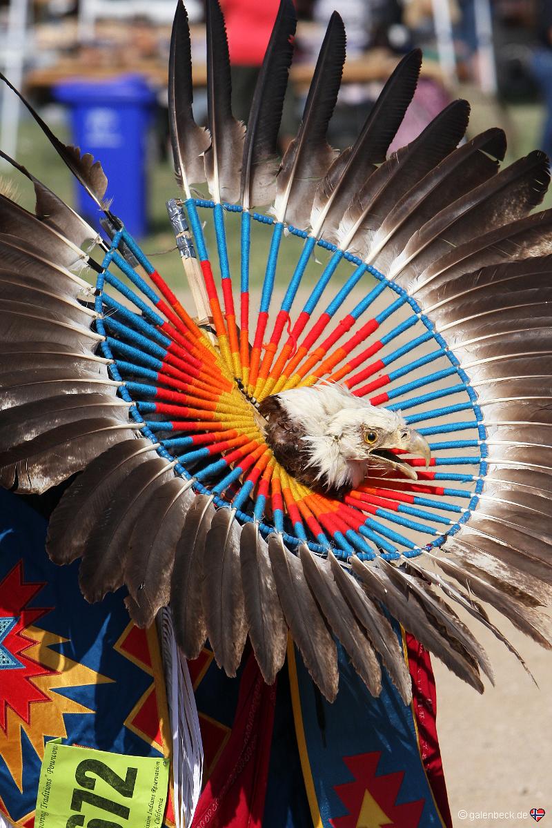 Pala Traditions Pow Wow