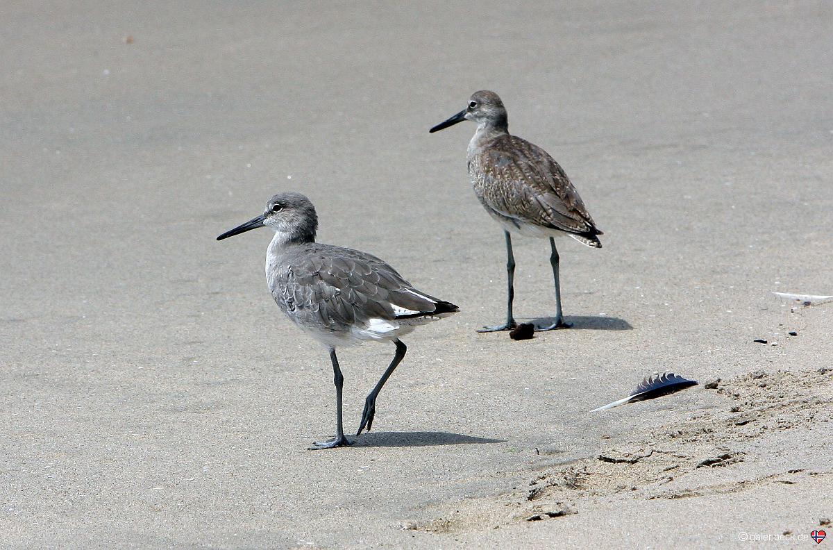 Dockweiler Beach State Park