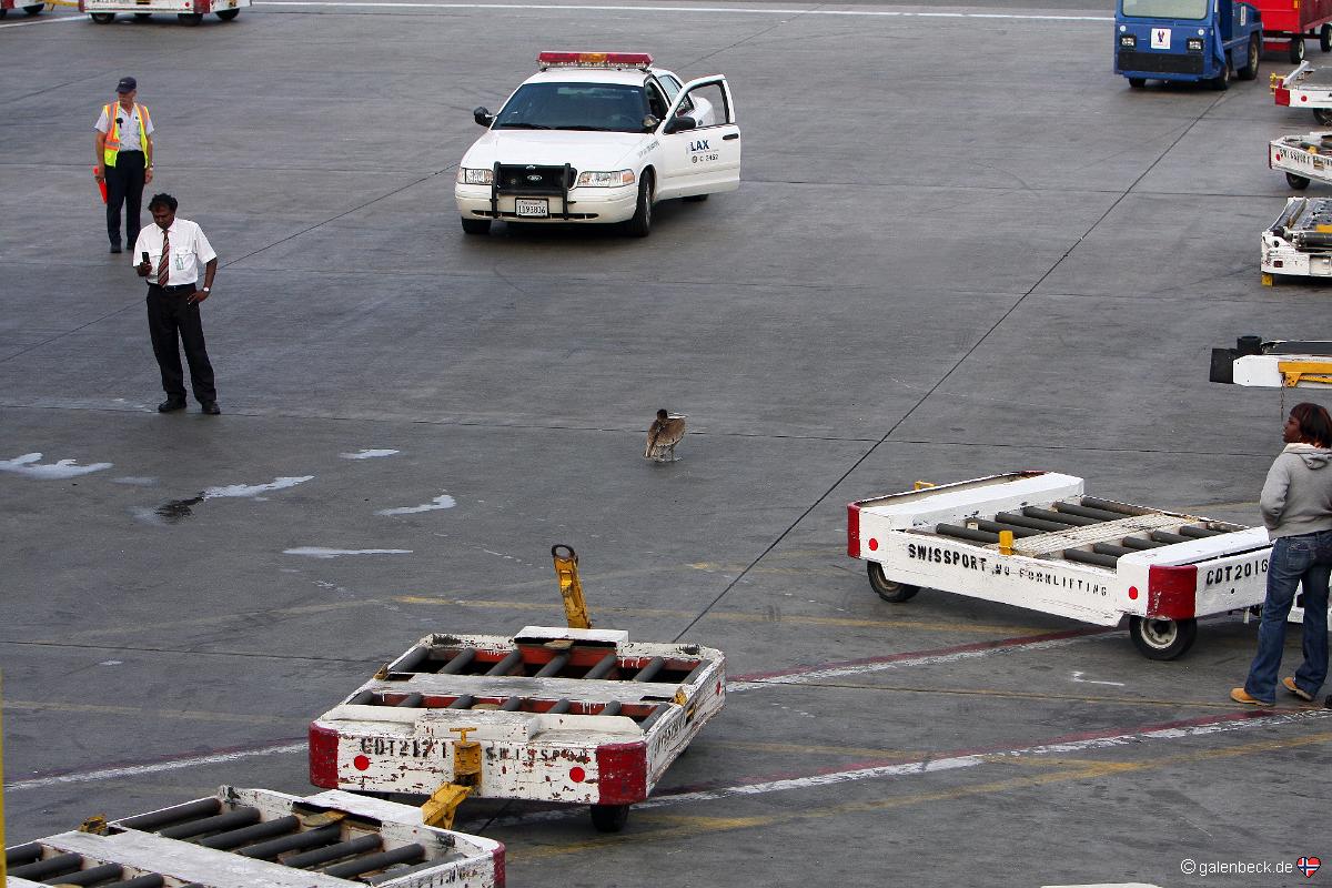 Flug Los Angeles Düsseldorf
