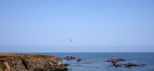 Highway 1 Fort Bragg bis Point Arena