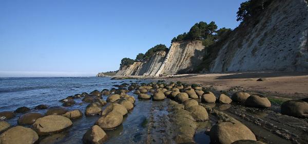 Bowling Ball Beach