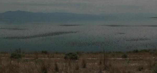 antelope island state park