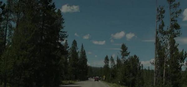 yellowstone national park