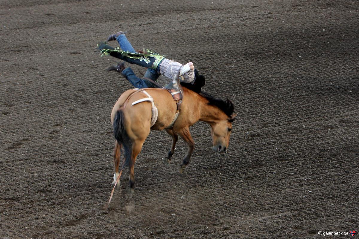 Cody Nite Rodeo