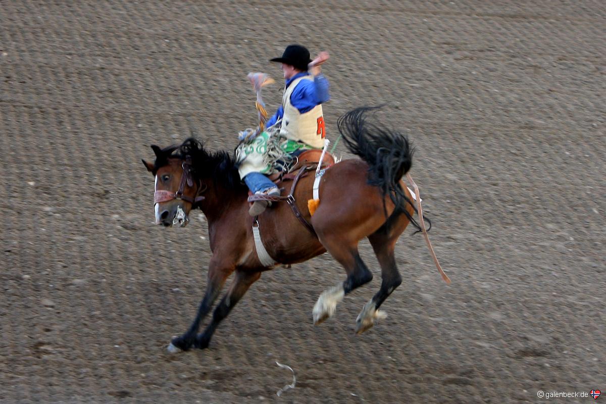 Cody Nite Rodeo