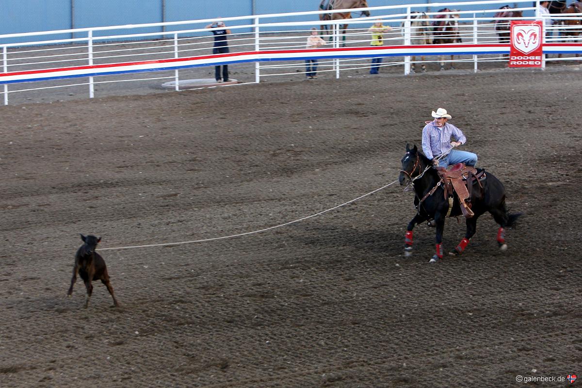 Cody Nite Rodeo