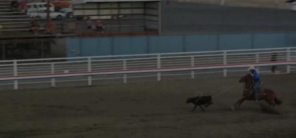 cody nite rodeo