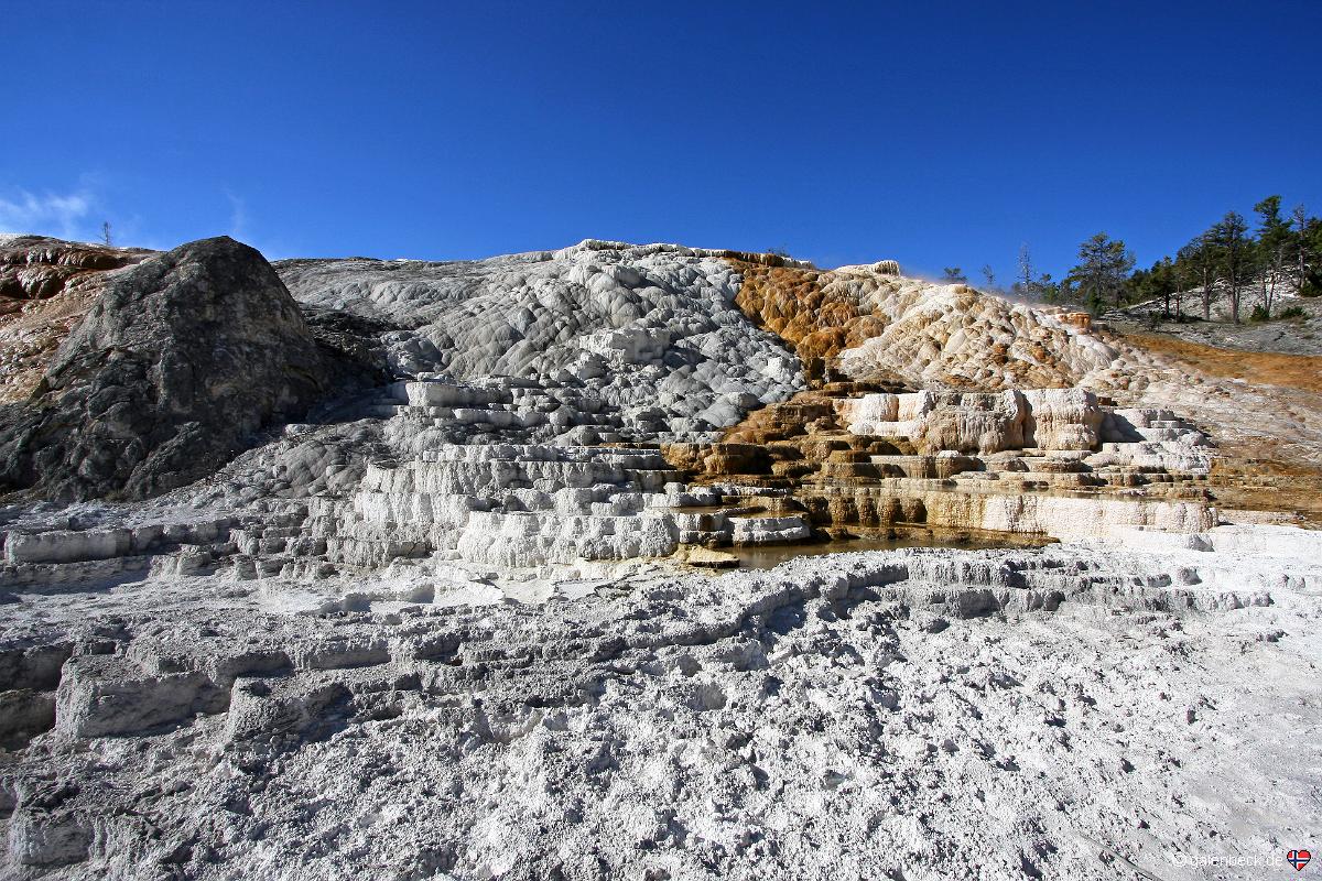 Yellowstone National Park