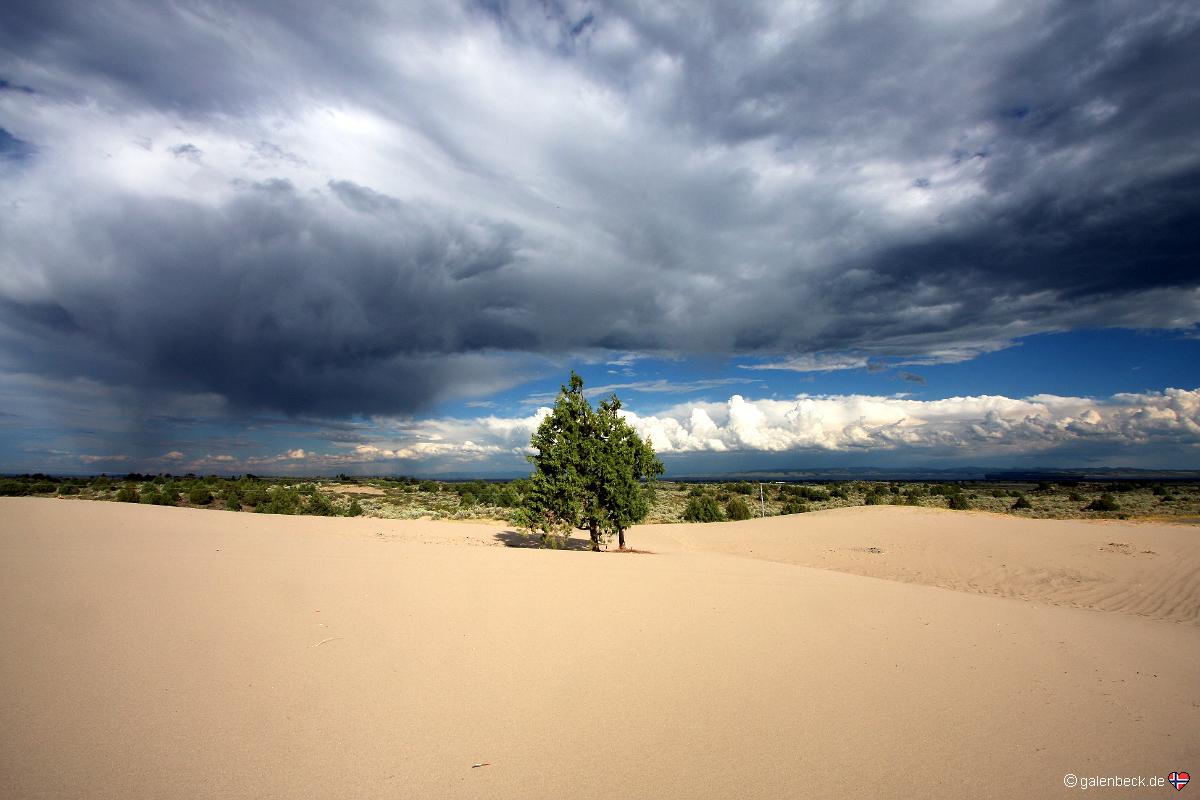 Saint Anthony Sand Dunes
