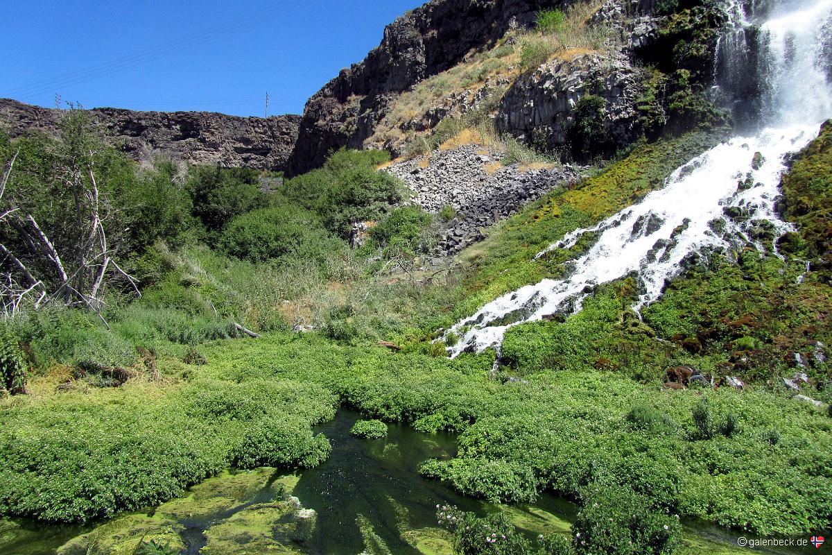 Thousand Springs