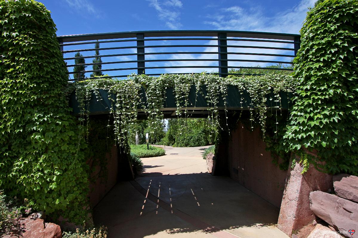 Red Butte Garden