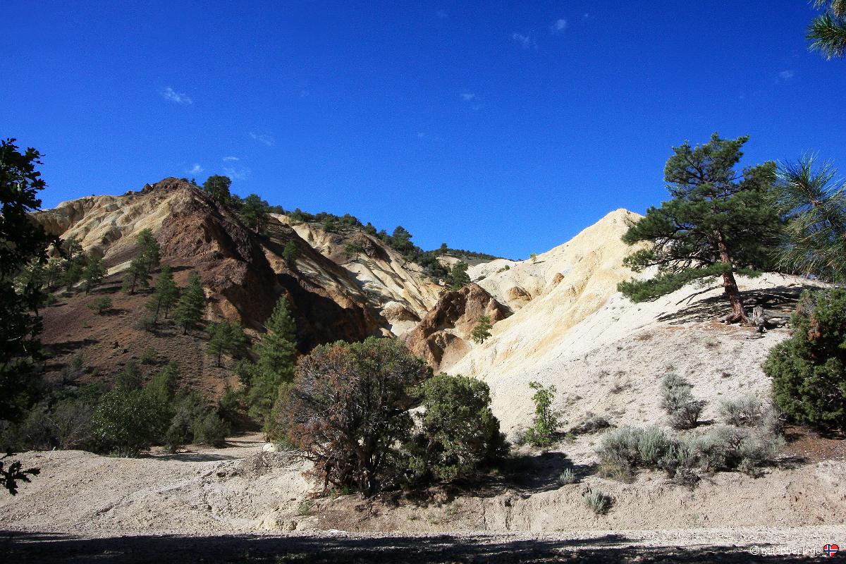Big Rock Candy Mountain